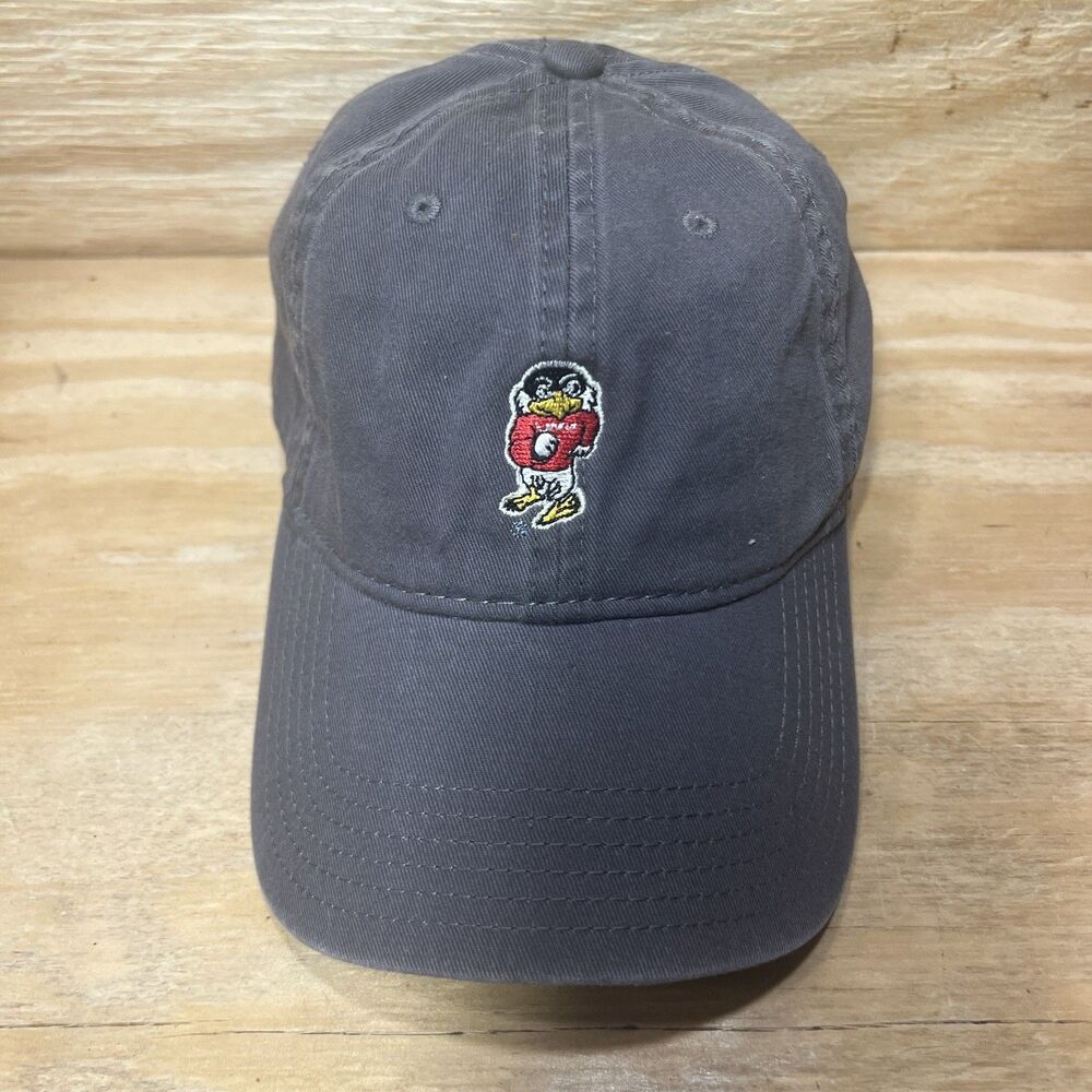Vintage College Mascot Gray Slouch Dad Hat Legacy Athletic Cap